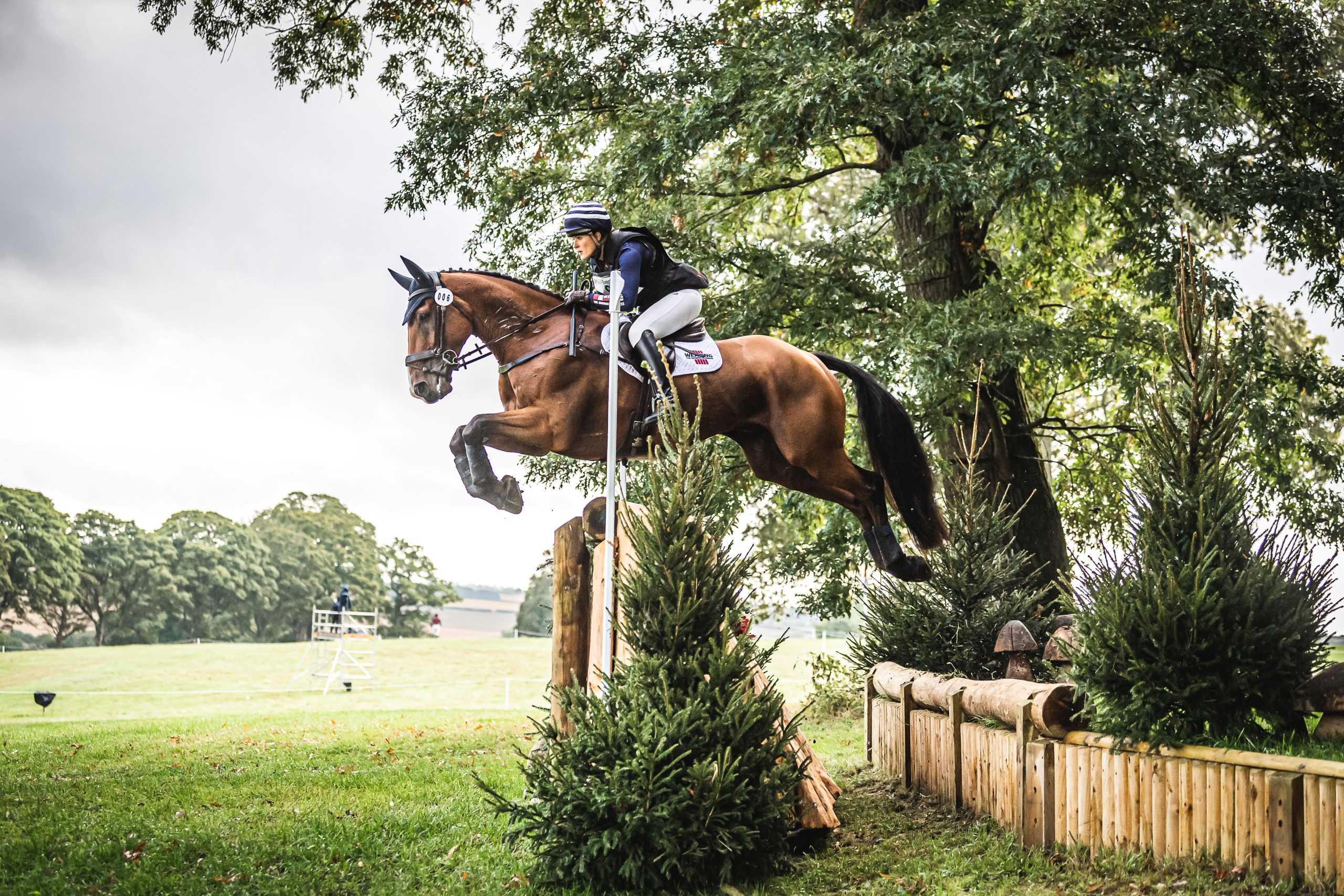 Champions are coming to Cornbury House Horse Trials Cornbury House