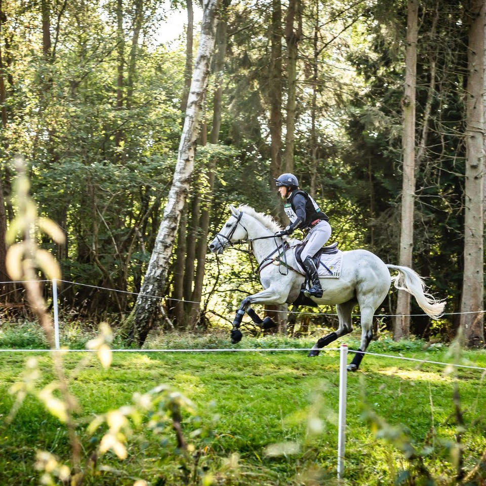 NEW EXRACEHORSE CLASS WORTH A PHENOMENAL £50,000 TO BE RUN AT CORNBURY