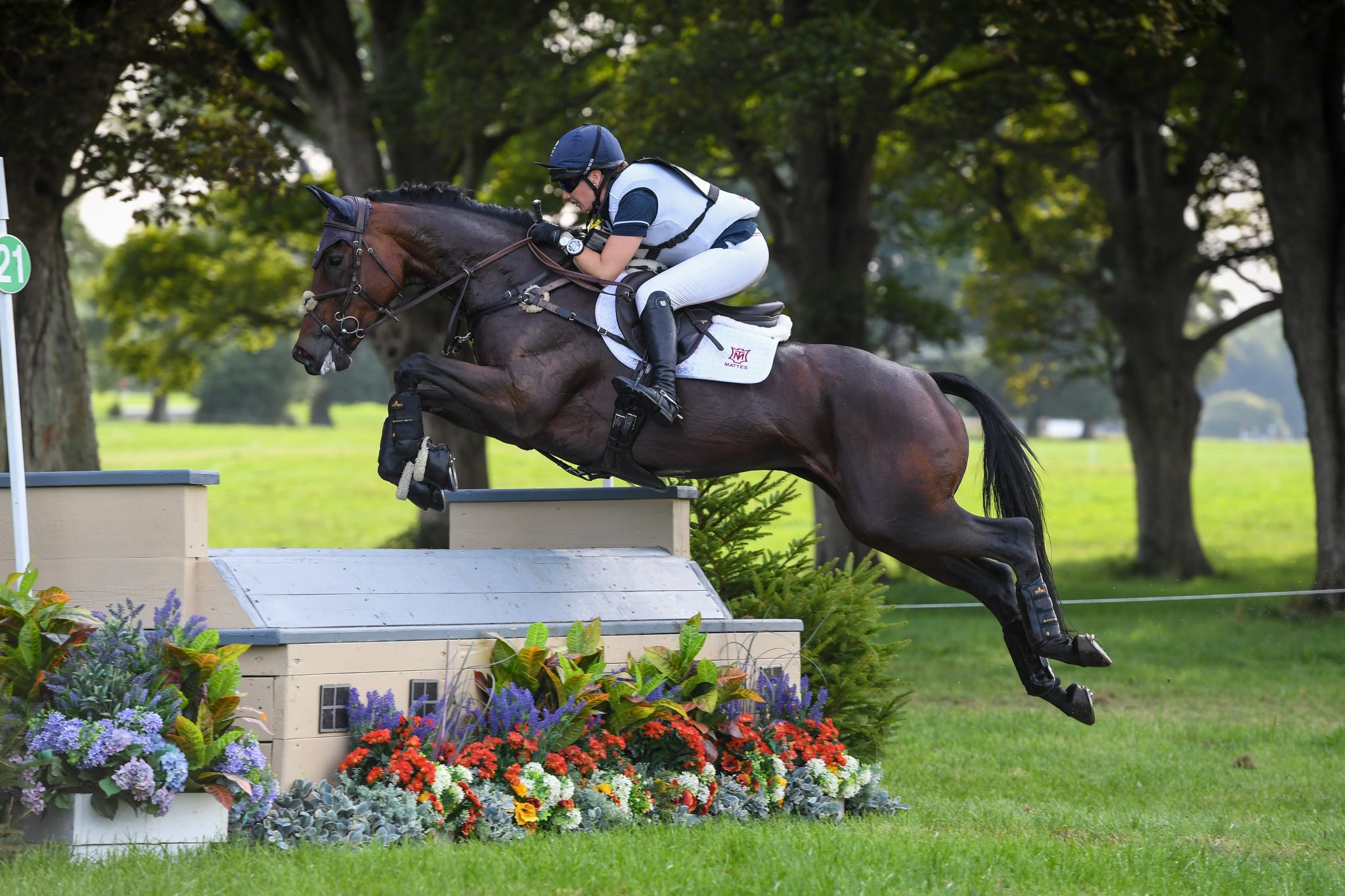 Competition Cornbury House Horse Trials